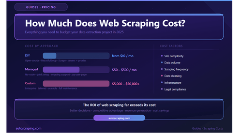 Cost of Web Scraping: What Businesses and Developers Need to Know